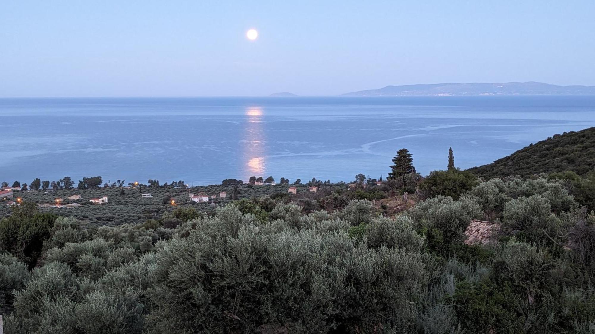 Magnificent, Authentic Private Villa And The Guest House Kardamyli Exteriér fotografie